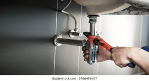 Best Green Plumbing Solutions and Water Conservation  in Lindsay, TX